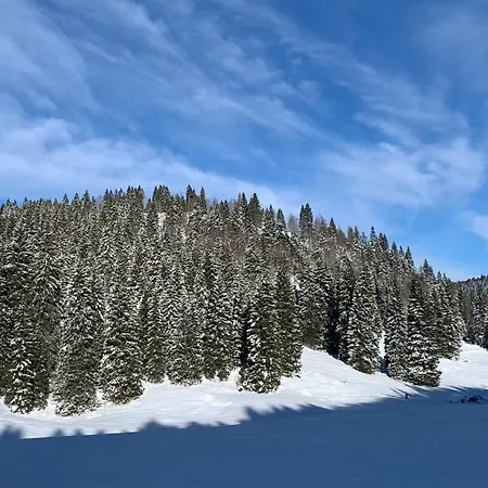 Διαμέρισμα Casa Rigoni *