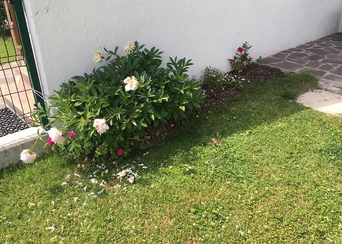 Apartament Casa Rigoni