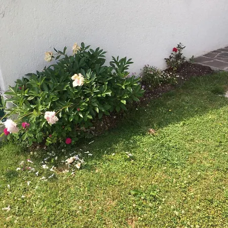 Apartment Casa Rigoni